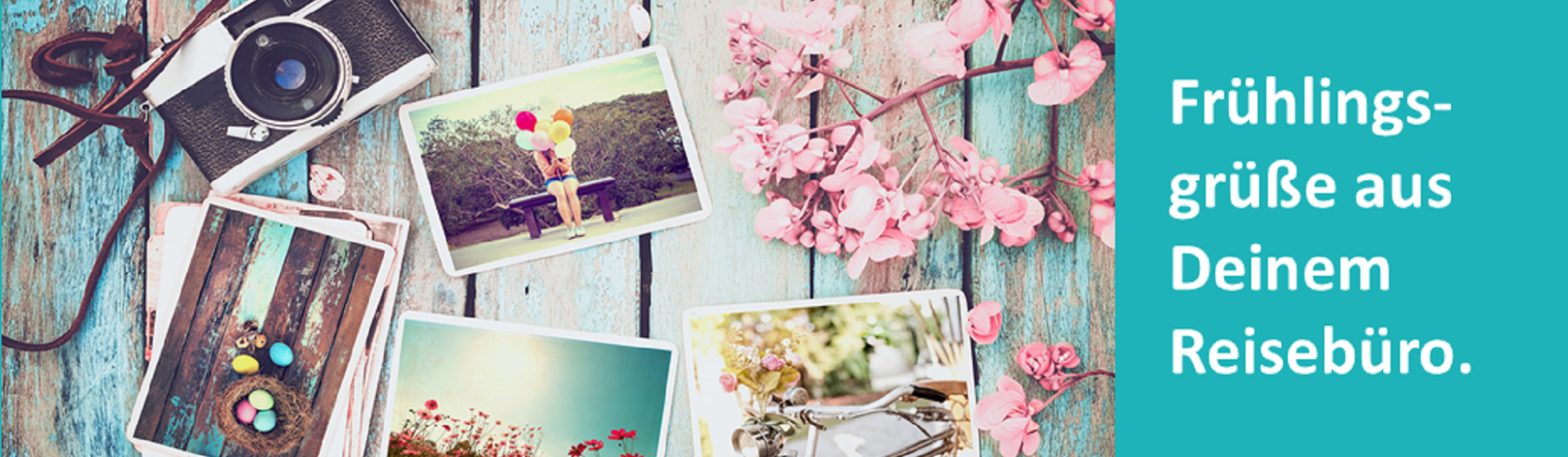 TOC_Facebook_Fruehling02