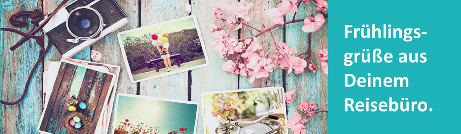 TOC_Facebook_Fruehling02