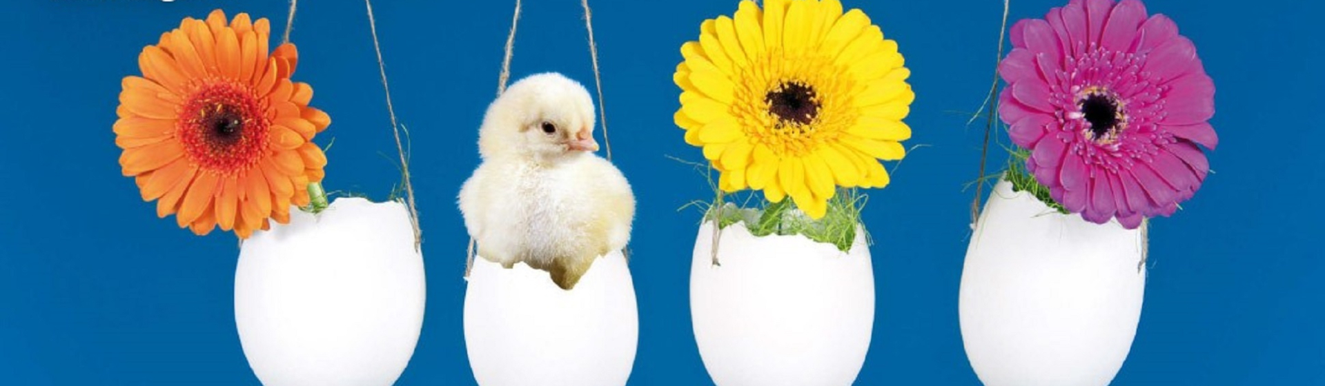 1701056-tcpg-e-cards-tcrb-1070x600-3-28_InPixio_1940