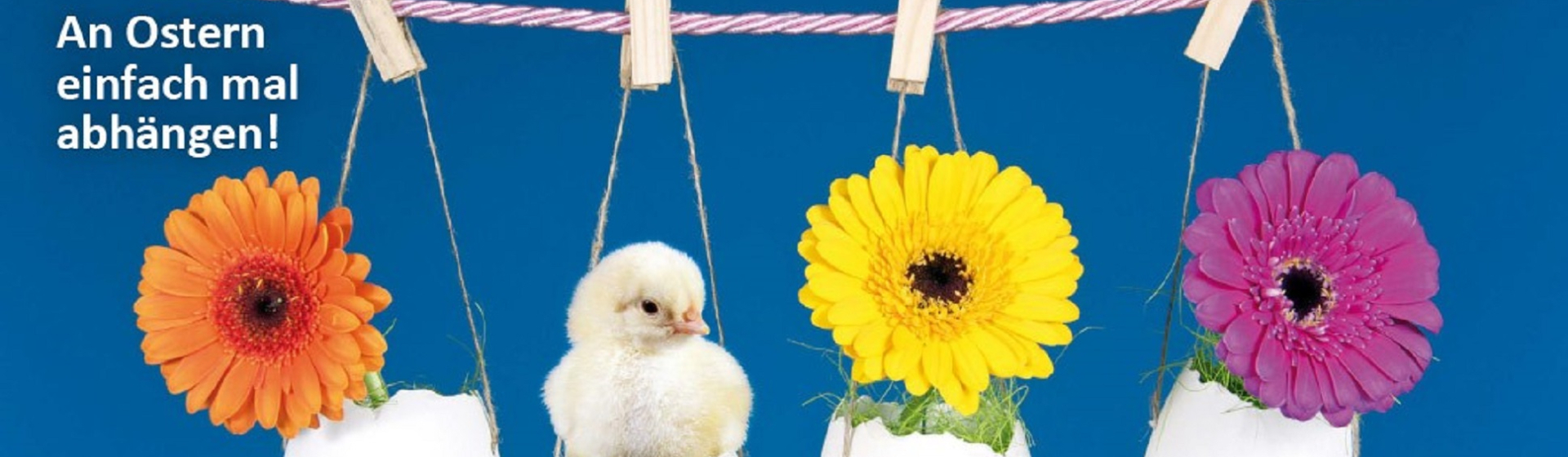 1701056-tcpg-e-cards-tcrb-1070x600-3-28_InPixio_1940